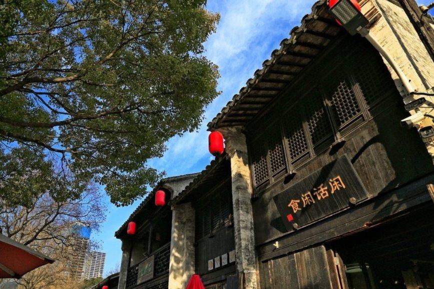 细胞分裂6