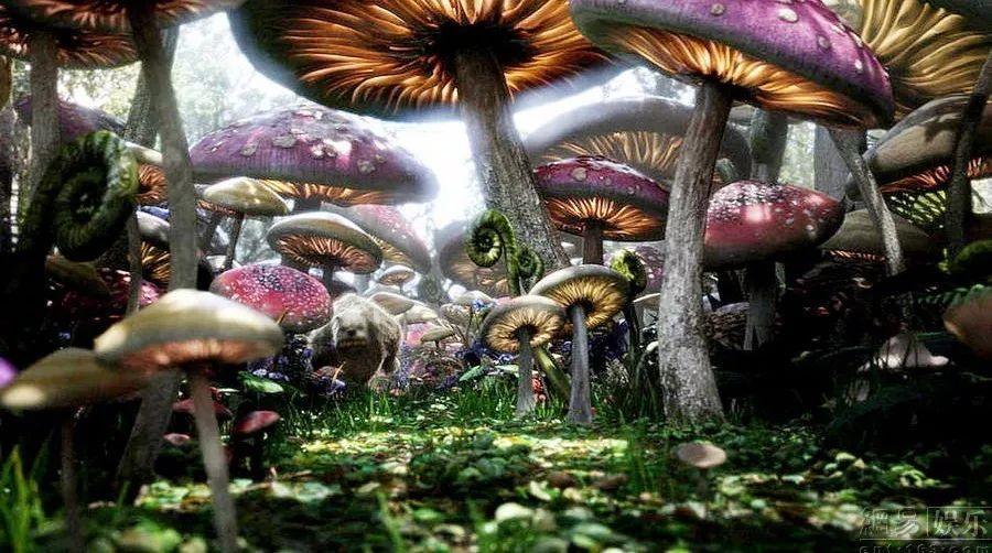 崴脚后，觉得脚踝有点儿涨，走多了路感觉很累游戏画面